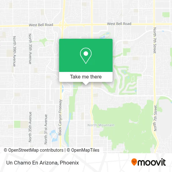 Un Chamo En Arizona map