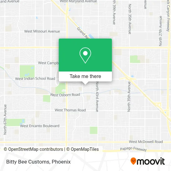 Bitty Bee Customs map