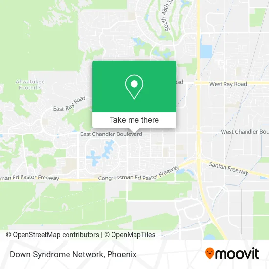 Down Syndrome Network map