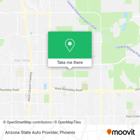 Arizona State Auto Provider map