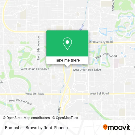 Bombshell Brows by Roni map