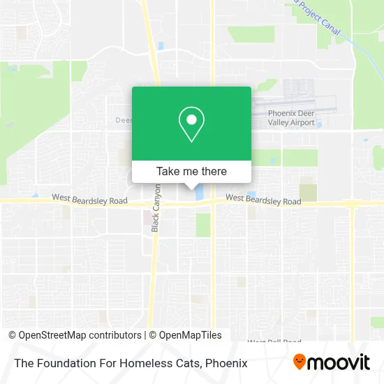 The Foundation For Homeless Cats map