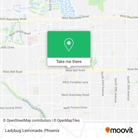 Ladybug Lemonade map