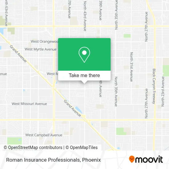Roman Insurance Professionals map
