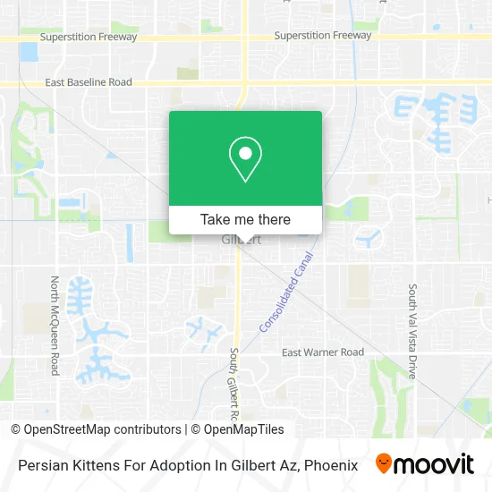 Persian Kittens For Adoption In Gilbert Az map