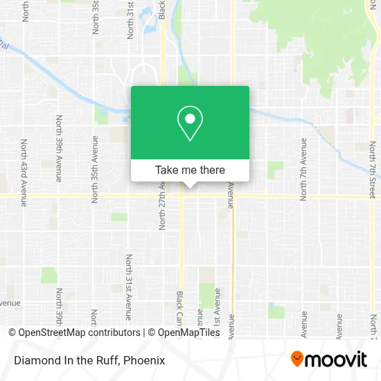 Diamond In the Ruff map