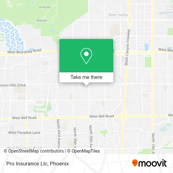 Pro Insurance Llc map