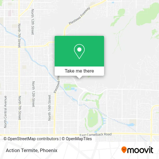 Action Termite map