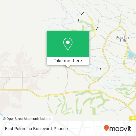 East Palomino Boulevard map