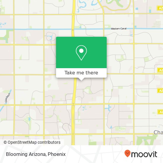 Blooming Arizona map