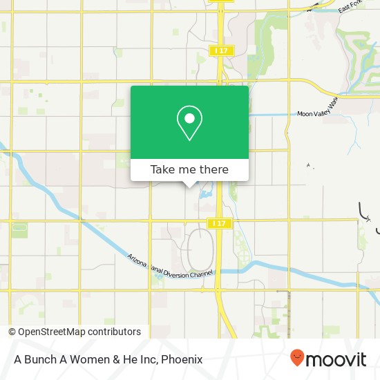 A Bunch A Women & He Inc map