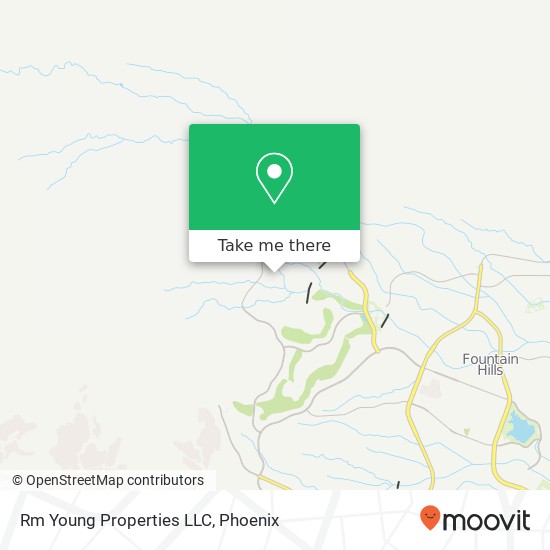 Rm Young Properties LLC map