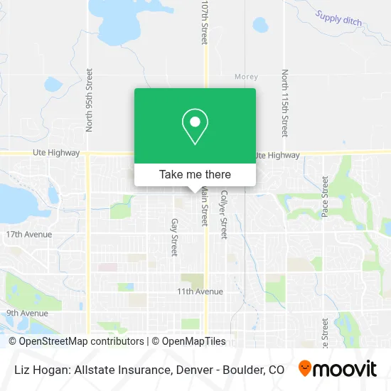 Liz Hogan: Allstate Insurance map