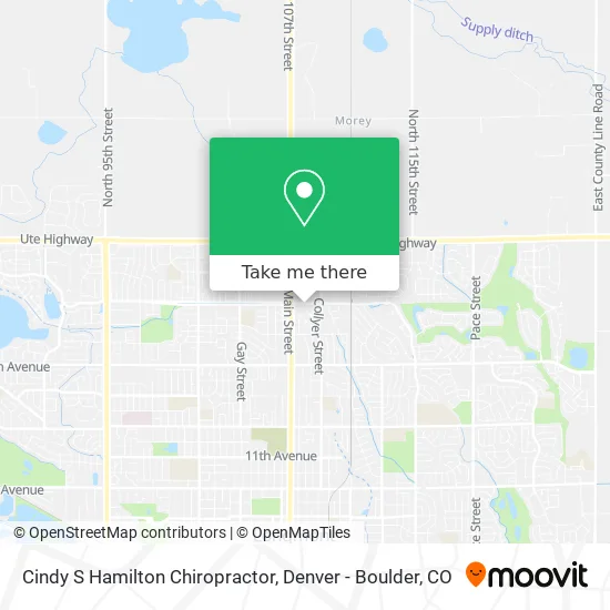 Cindy S Hamilton Chiropractor map