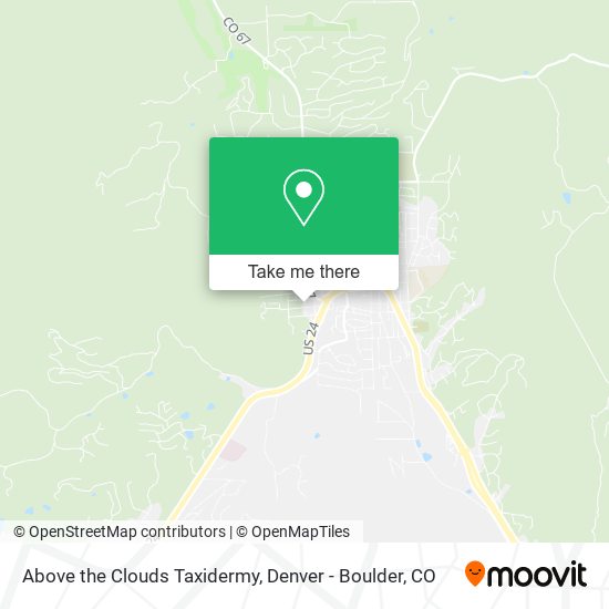 Above the Clouds Taxidermy map