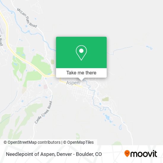 Needlepoint of Aspen map