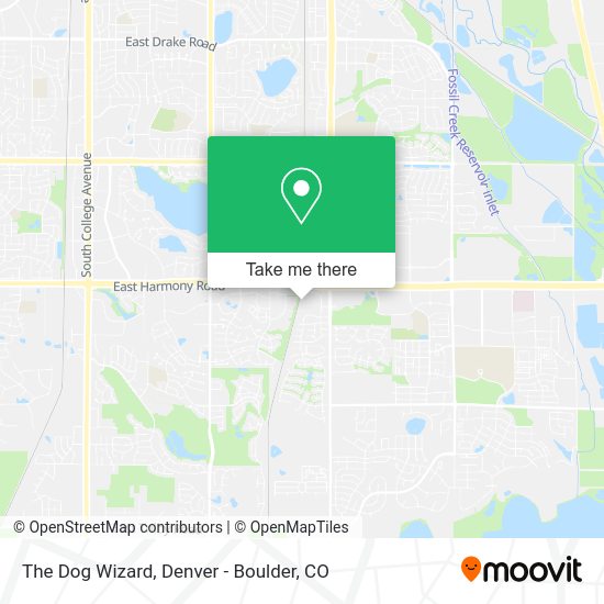 Mapa de The Dog Wizard