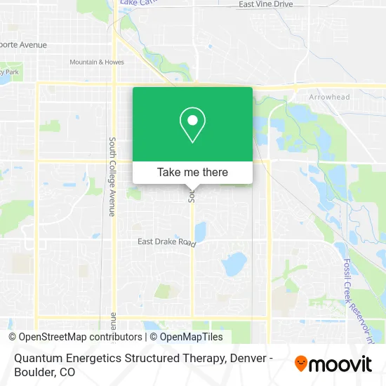 Quantum Energetics Structured Therapy map