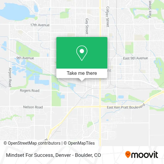 Mindset For Success map