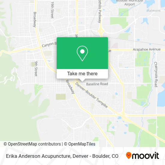 Erika Anderson Acupuncture map