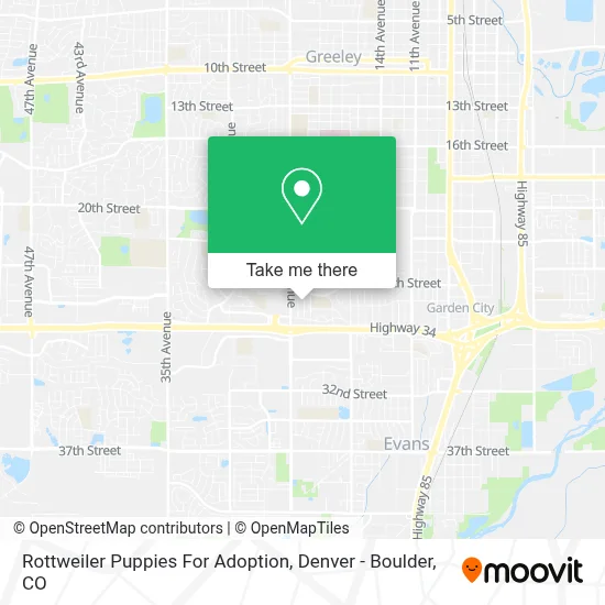 Rottweiler Puppies For Adoption map