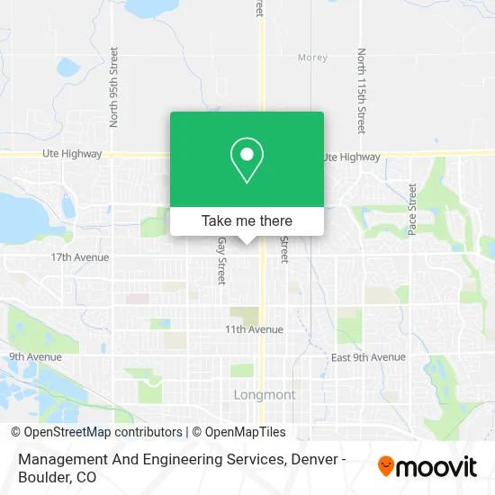 Management And Engineering Services map