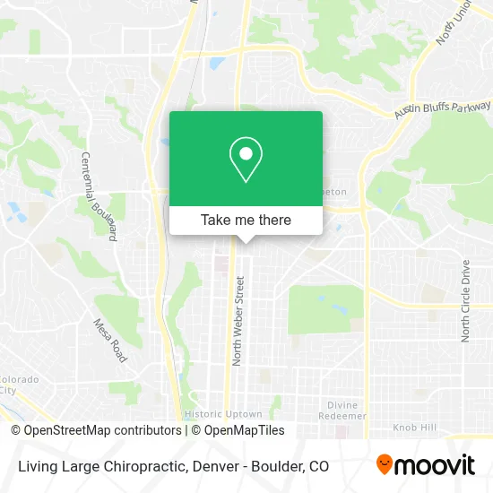 Living Large Chiropractic map