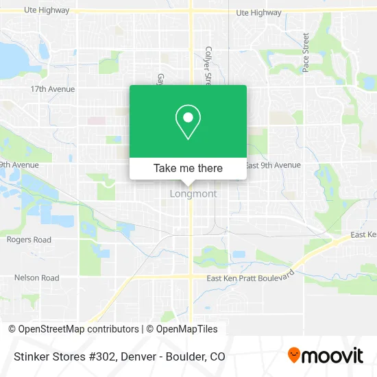 Stinker Stores #302 map
