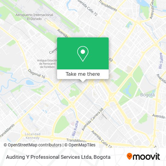 Auditing Y Professional Services Ltda map