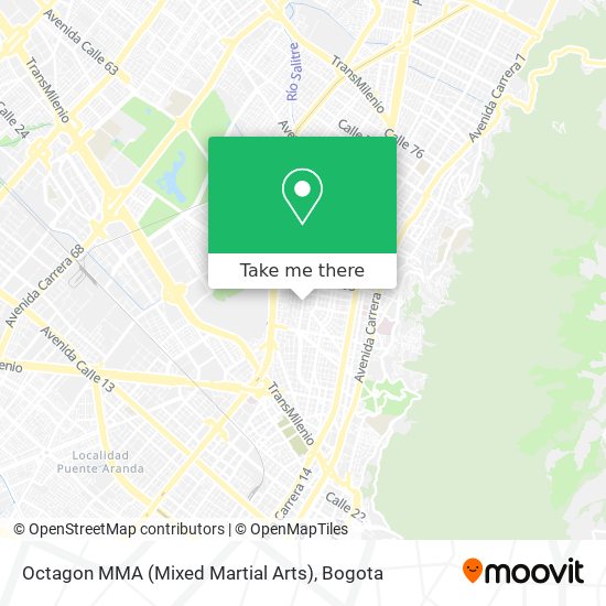 Octagon MMA (Mixed Martial Arts) map