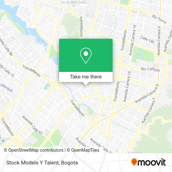 Stock Models Y Talent map