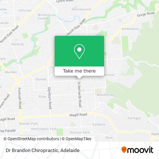 Dr Brandon Chiropractic map