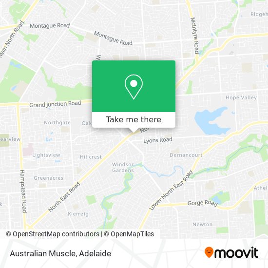 Australian Muscle map