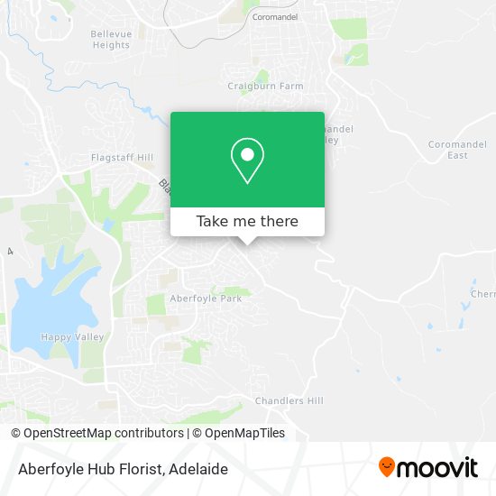 Aberfoyle Hub Florist map