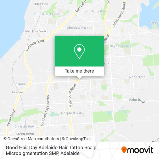 Good Hair Day Adelaide Hair Tattoo Scalp Micropigmentation SMP map