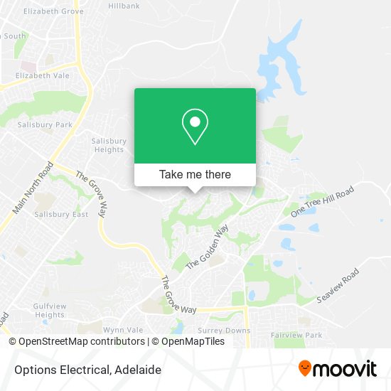 Options Electrical map