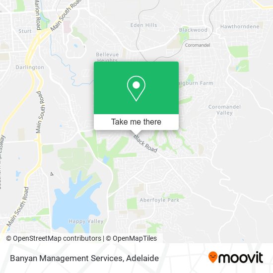 Banyan Management Services map