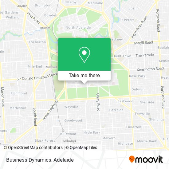 Business Dynamics map