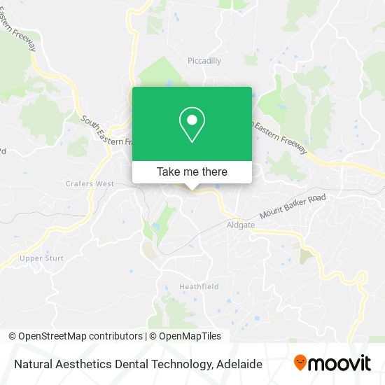 Natural Aesthetics Dental Technology map