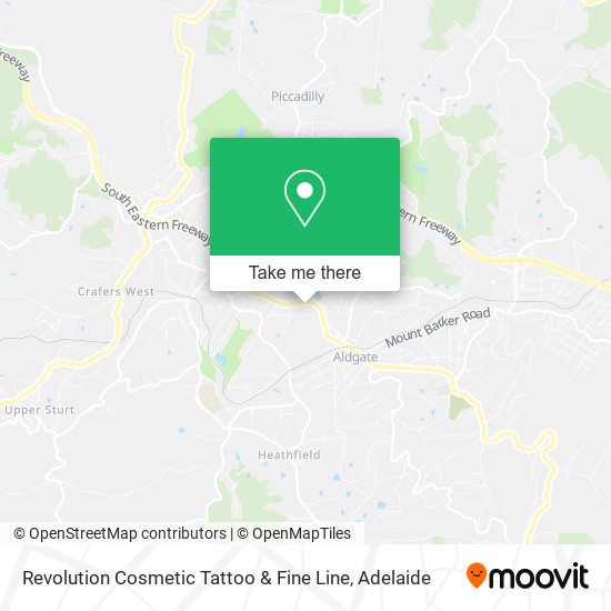 Revolution Cosmetic Tattoo & Fine Line map