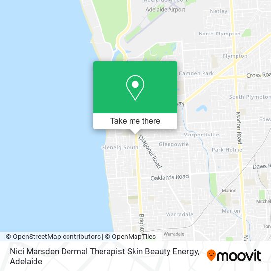 Nici Marsden Dermal Therapist Skin Beauty Energy map