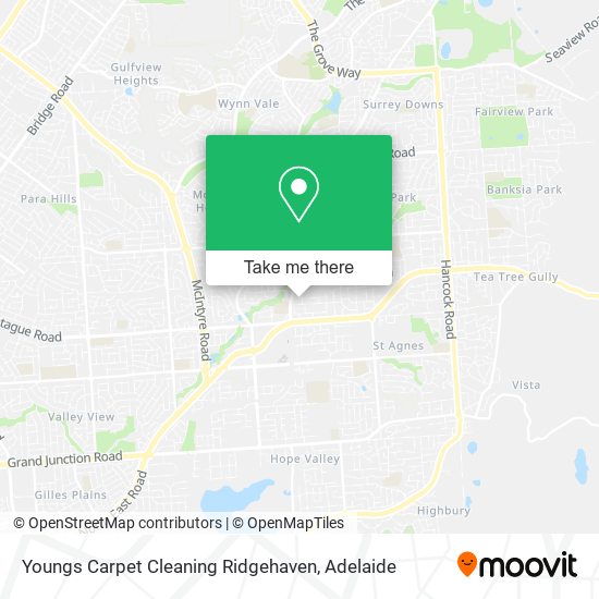 Mapa Youngs Carpet Cleaning Ridgehaven