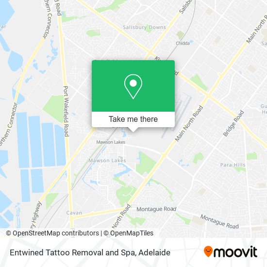 Mapa Entwined Tattoo Removal and Spa