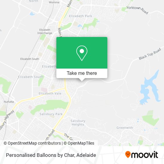 Personalised Balloons by Char map