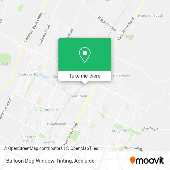 Mapa Balloon Dog Window Tinting