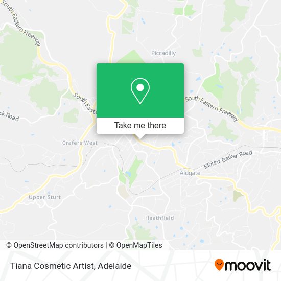 Tiana Cosmetic Artist map