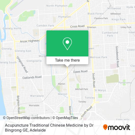 Acupuncture Traditional Chinese Medicine by Dr Bingrong GE map