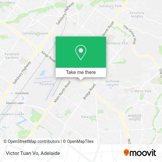Victor Tuan Vo map