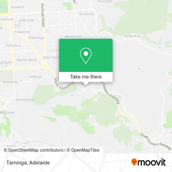 Mapa Taminga