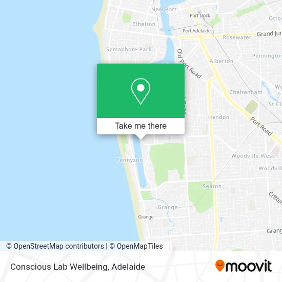 Mapa Conscious Lab Wellbeing
